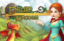 Download en speel Druid Kingdom