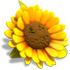 Download and play Youda Farmer 3: SeasonsOnline